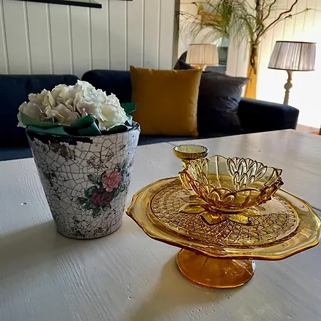 Homestay Primitivt Kjellerrom Uten Dusj, Med Delt Toalett