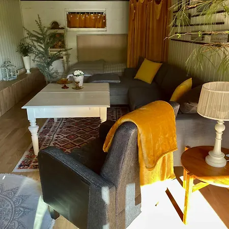 Homestay Primitivt Kjellerrom Uten Dusj, Med Delt Toalett