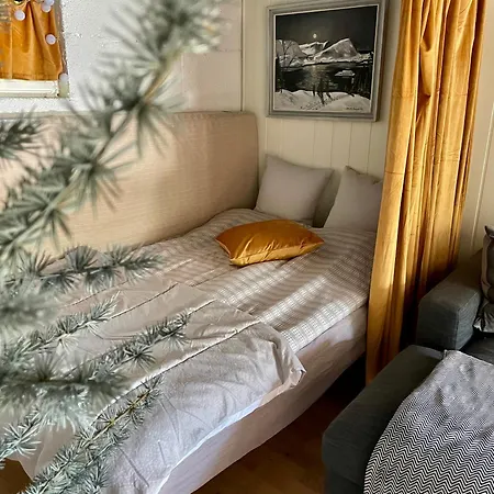 Primitive Basement Room, No Shower, Shared Toilet בית אירוח *