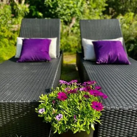 בית אירוח Primitive Basement Room, No Shower, Shared Toilet