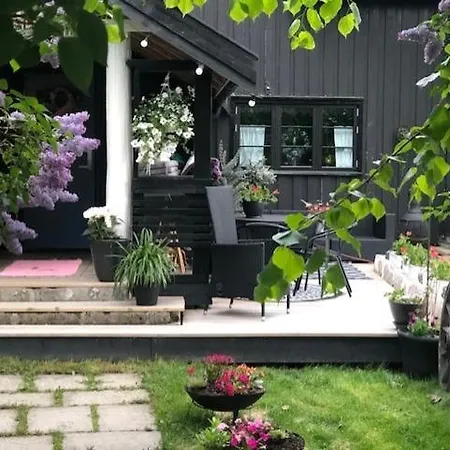Homestay Primitivt Kjellerrom Uten Dusj, Med Delt Toalett *