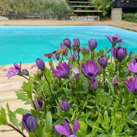 Primitive Basement Room, No Shower, Shared Toilet *