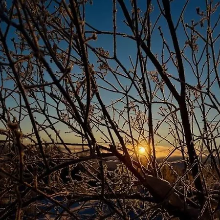 Primitive Basement Room, No Shower, Shared Toilet Eidsvoll
